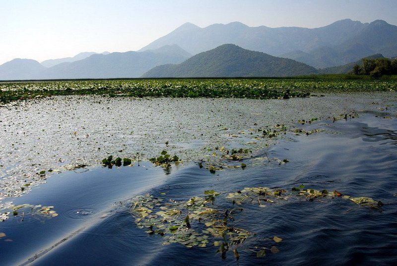 Тишинаphoto preview