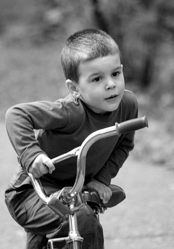 деткиphoto preview