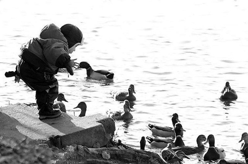 деткиphoto preview