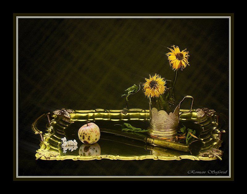 Stare putes, adeo procedunt tempora tarde. \