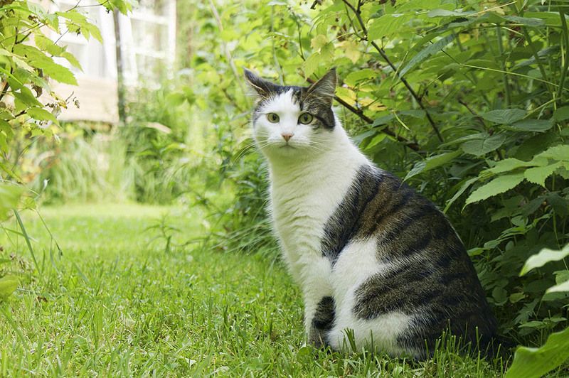 Добро пожаловатьphoto preview