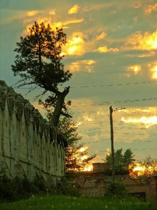 Пылаетphoto preview