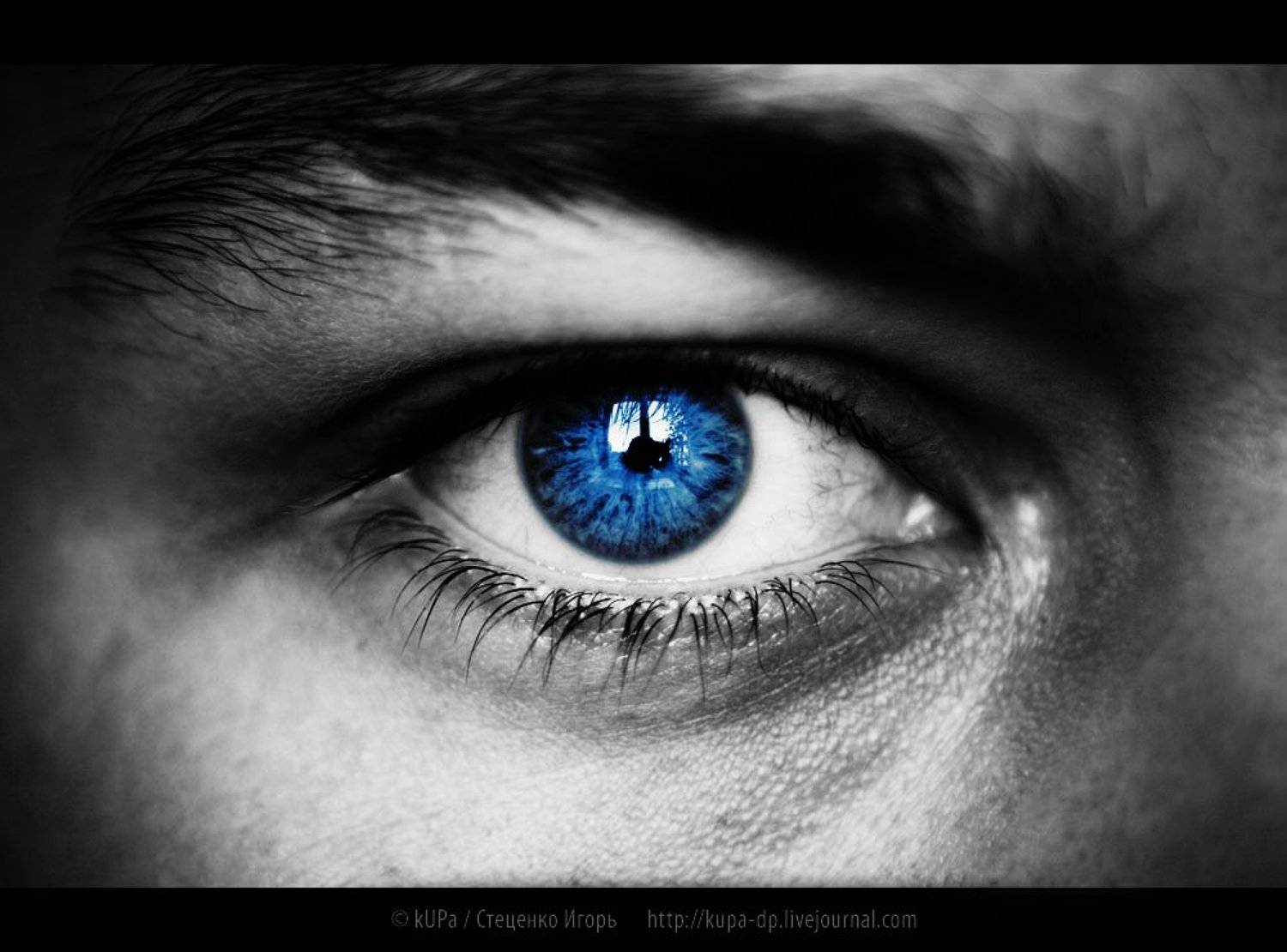 глаз взгляд, kUPa  Стеценко Игорь