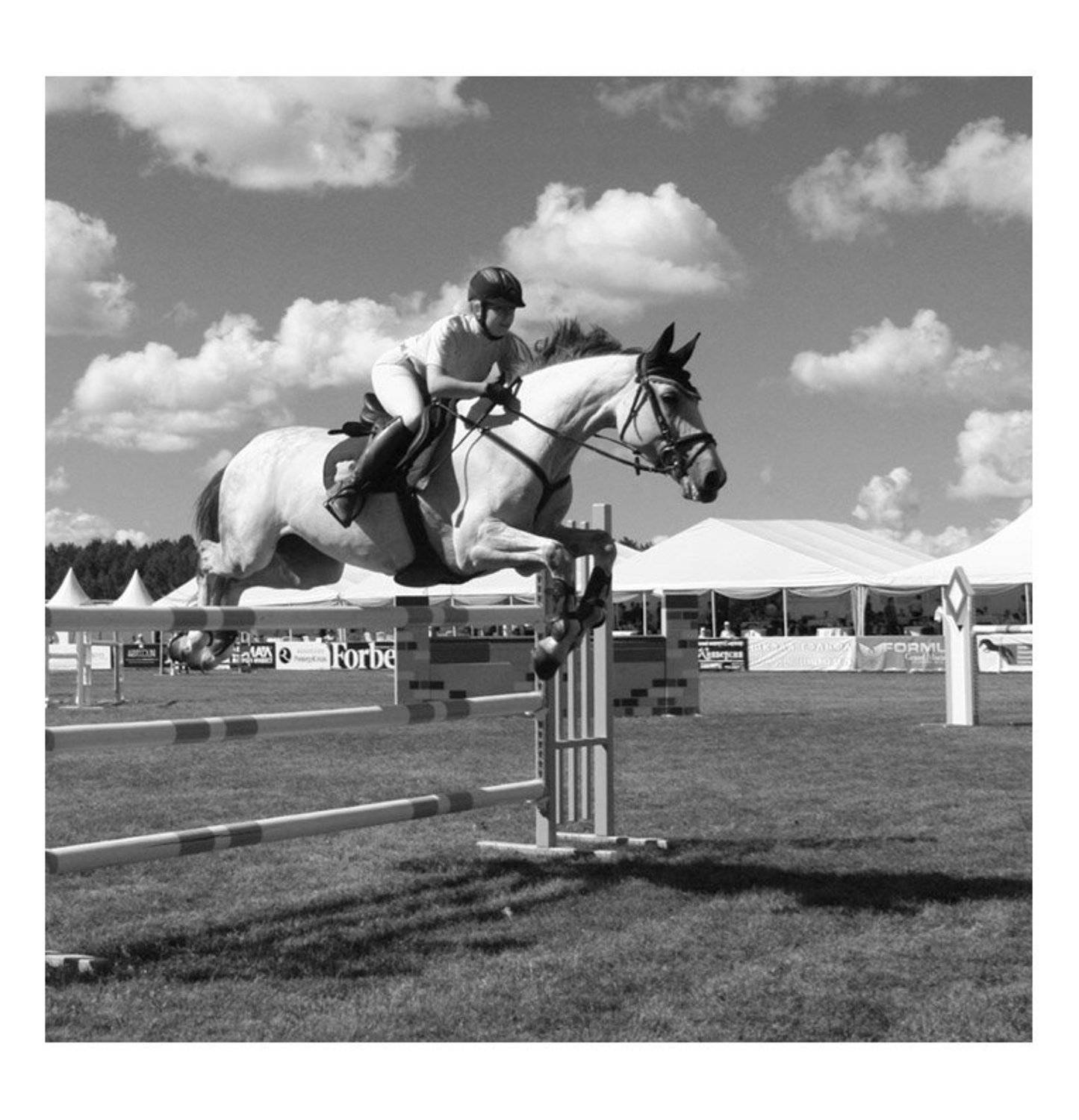 Препятствие. Автор: Олег Сердечников , Олег Сердечников