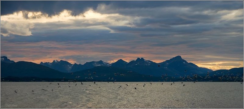 Вечерние полеты вдоль линии горизонта.photo preview