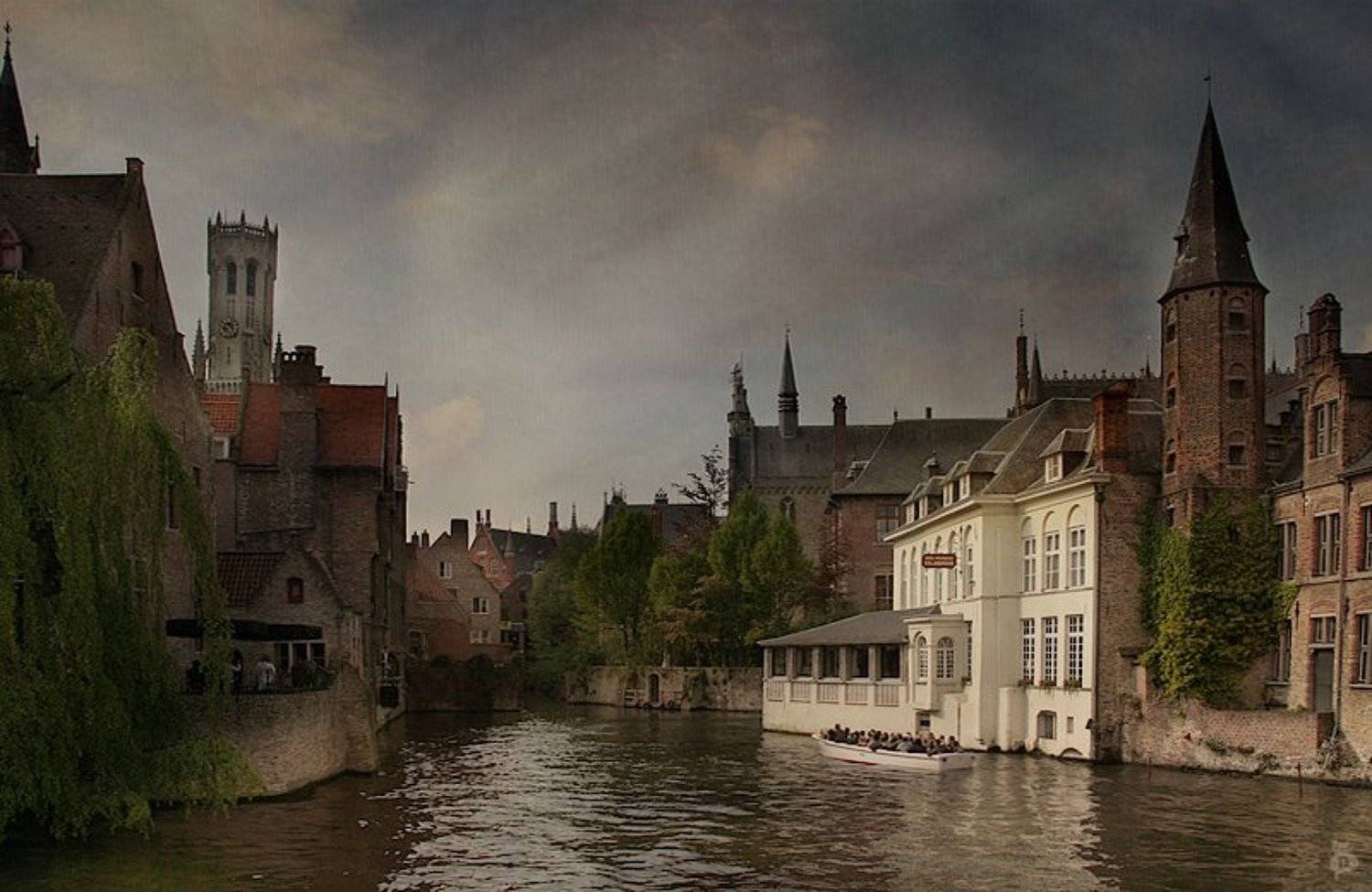 бельгия, брюгге, путешествие, Darn Cat