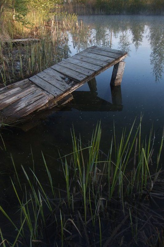 Прудphoto preview