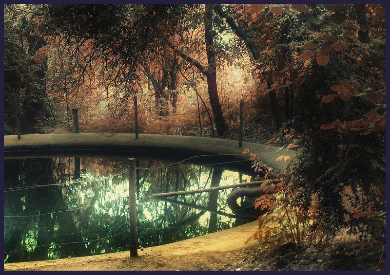 парк Паркphoto preview