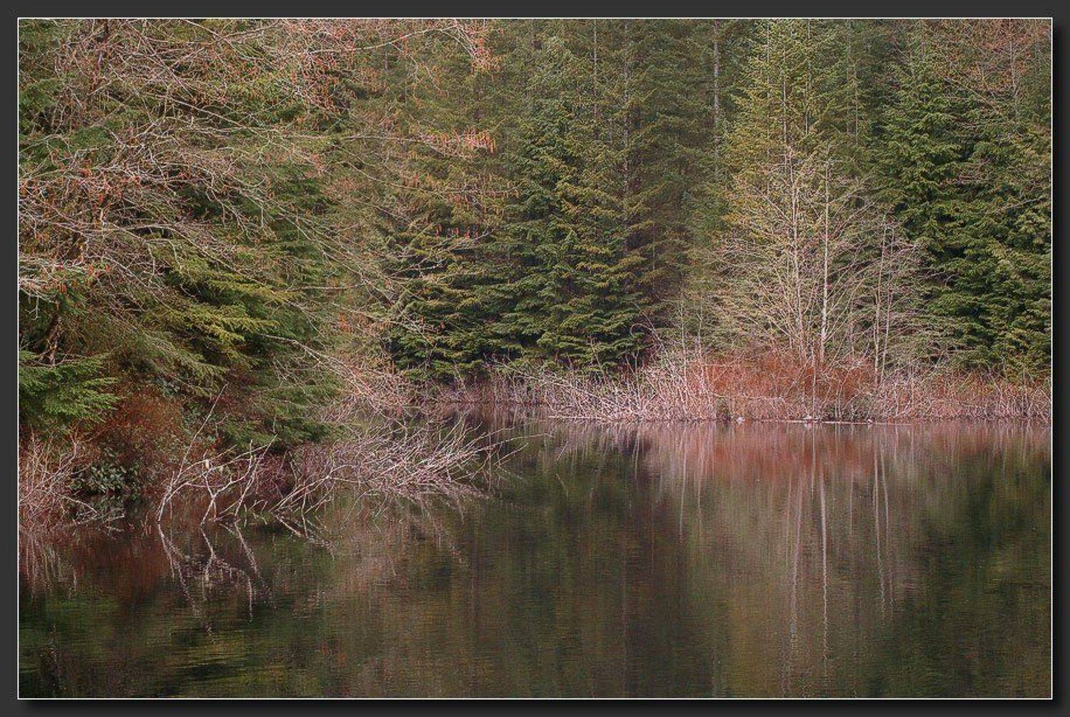 , Alexandre Michourovskii