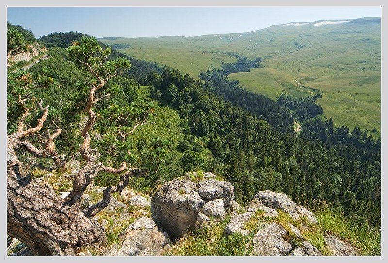 Лагонаки (3)photo preview