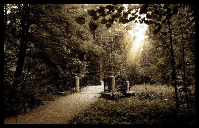 Мостикphoto preview