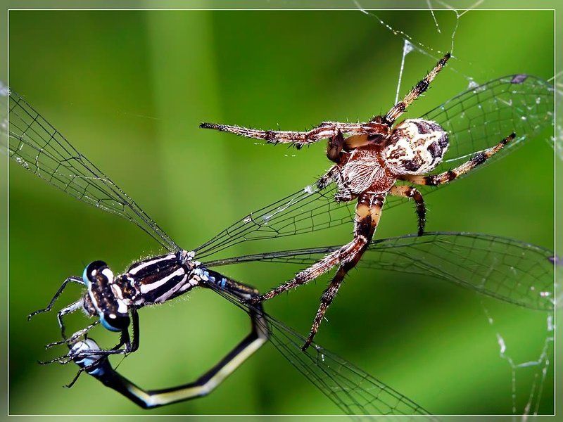 Ты погоди - не уходи!photo preview