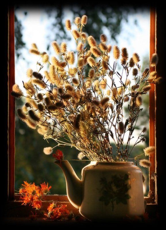 Пушистый натюрphoto preview