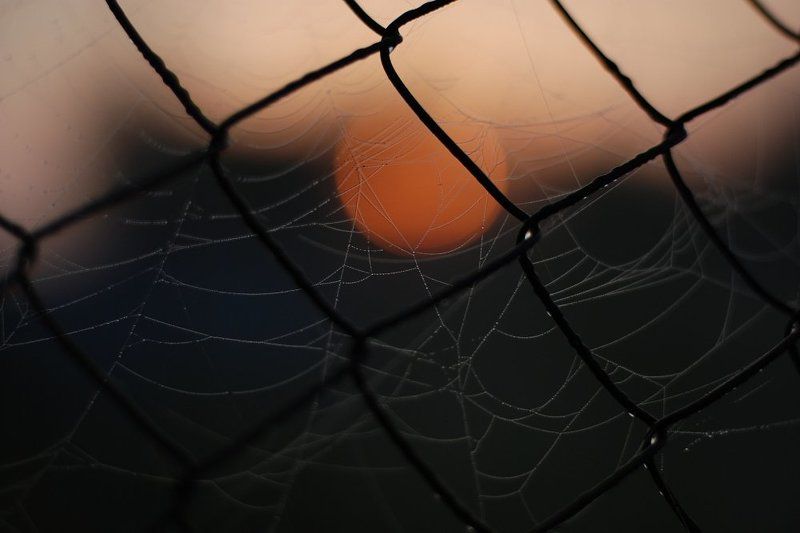 Краденое солнцеphoto preview