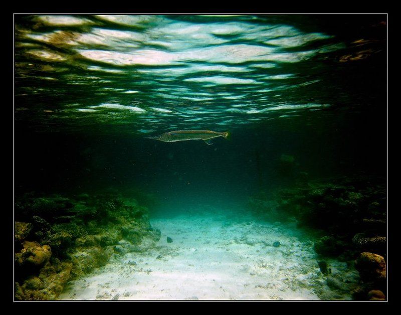 Дозорphoto preview