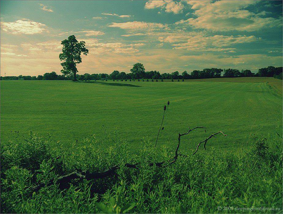 пейзаж, пленка, 120 film, fujicolor nps, средний формат, medium format, bronica etr, pilgrim, Pilgrim