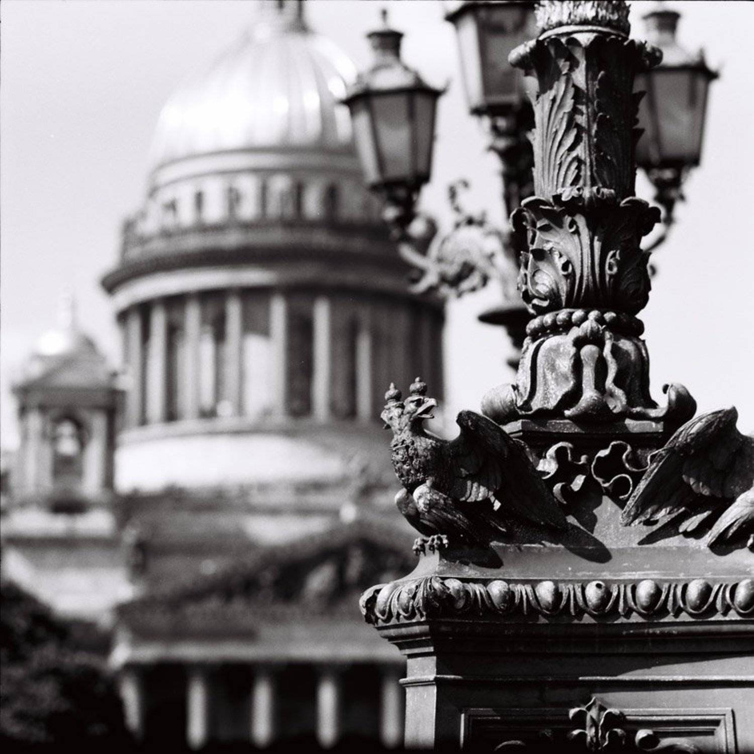 6х6,фотоплёнка,негатив, ч\б, Sergey Tarba