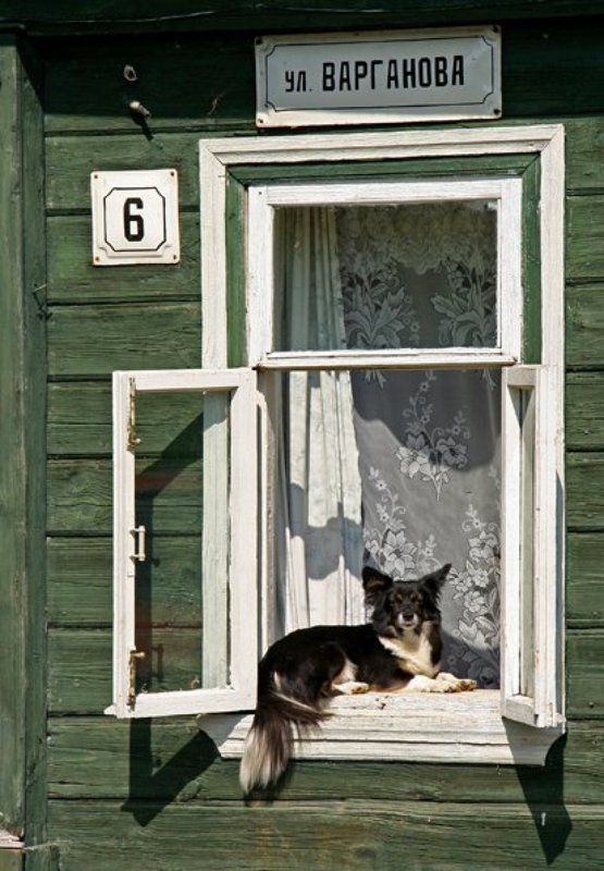 г.суздаль. Хозяинphoto preview