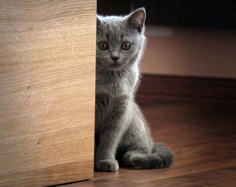 Доброе утро!photo preview