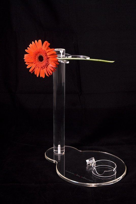 предметка,натюрморт,сток,арт,цветок,гербера,www.alexputev.com Гербераphoto preview