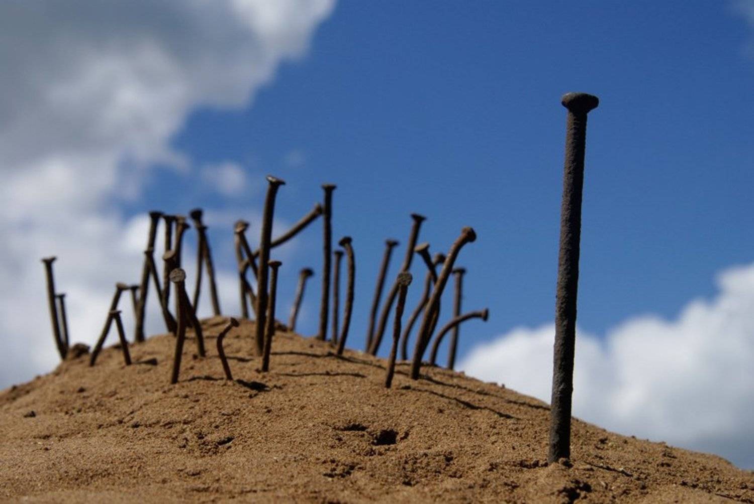 40 лет по пустыне.... Автор: Патрикеев Александр , Патрикеев Александр