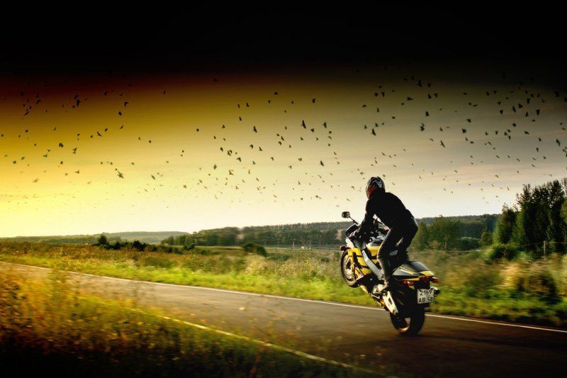 Навстречу солнцуphoto preview