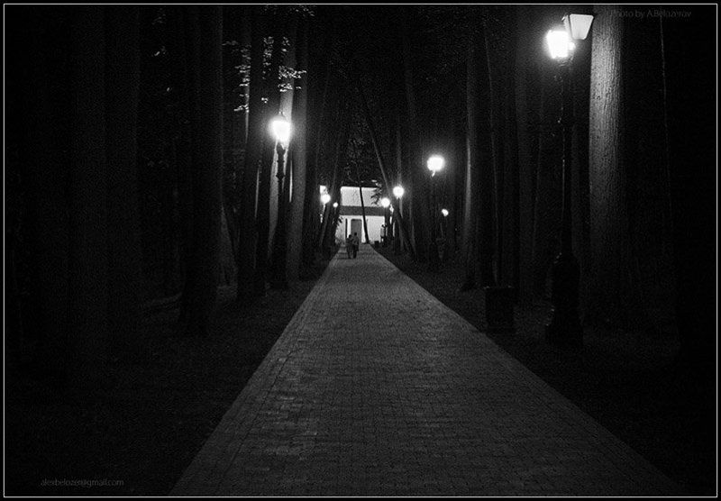 царицыно, ночь .....photo preview