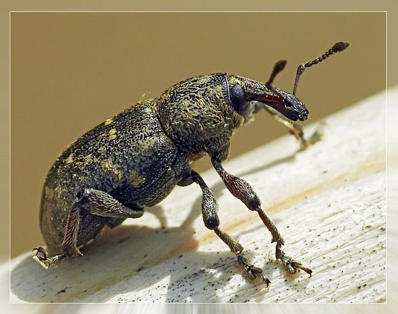 Отойду, и погляжу - хорошо ли Я сижу?..photo preview