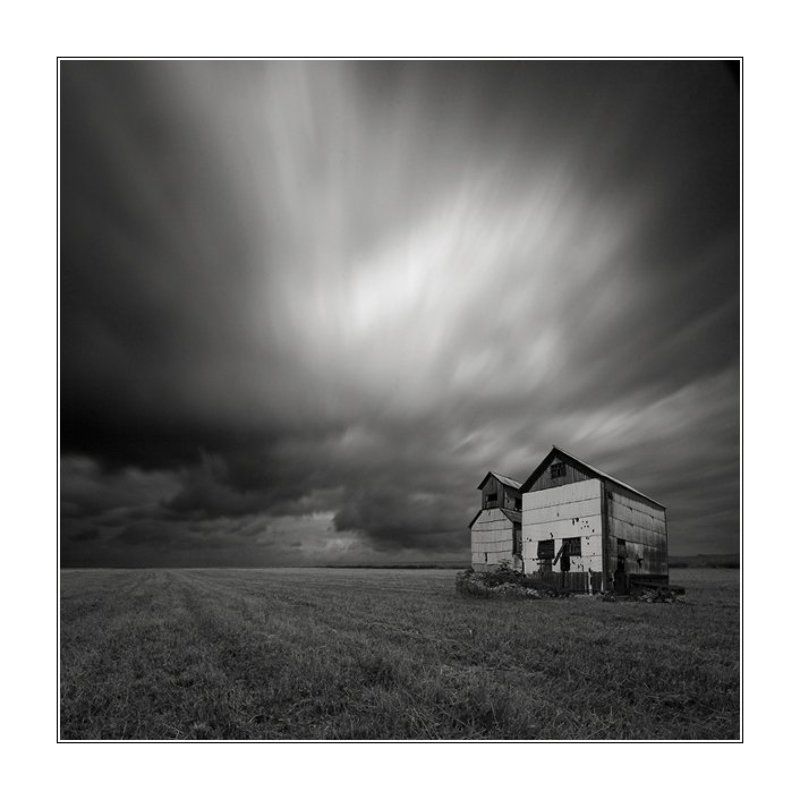 White housephoto preview