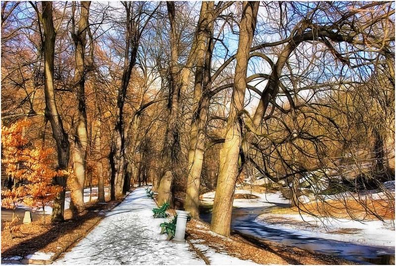 Один зимний деньphoto preview