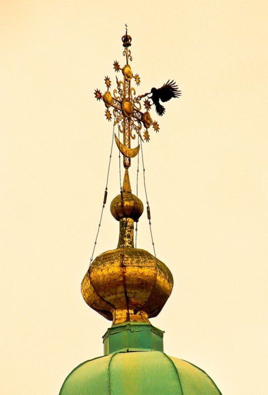 воронphoto preview