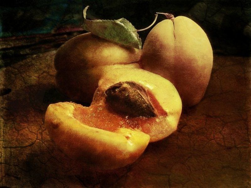art photo натюрморт абрикос фото без названияphoto preview