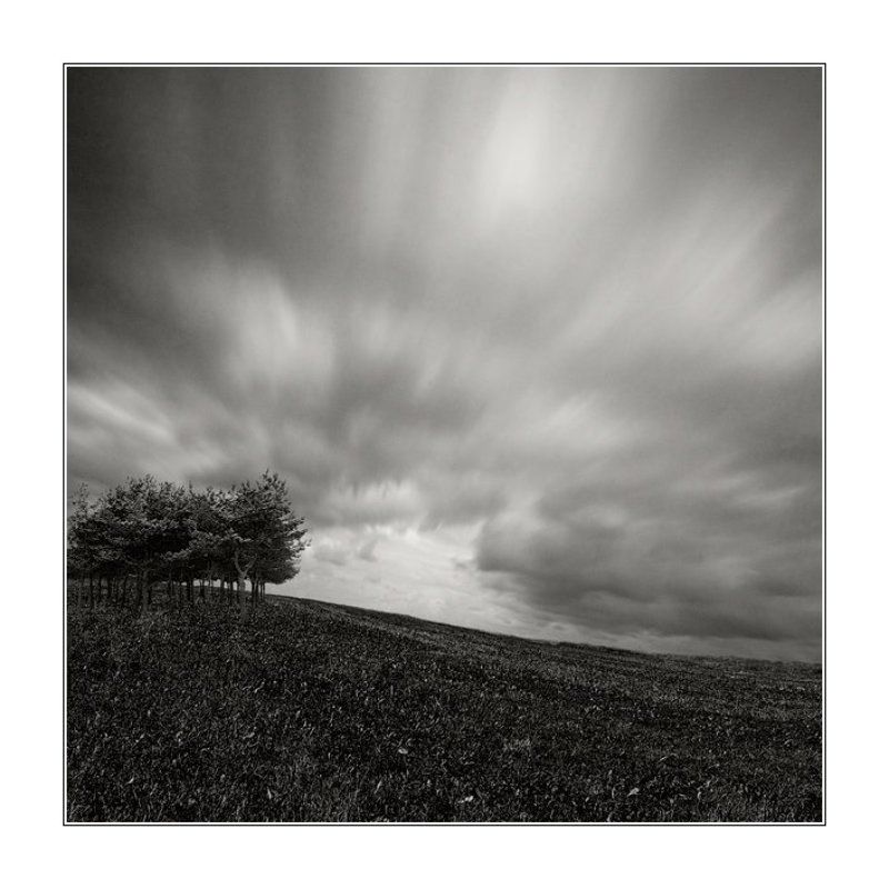 Hill top treesphoto preview