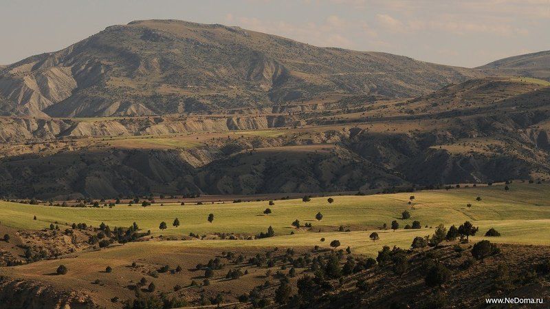 Нарнияphoto preview