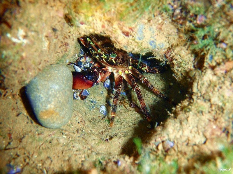 Стучаться надоphoto preview