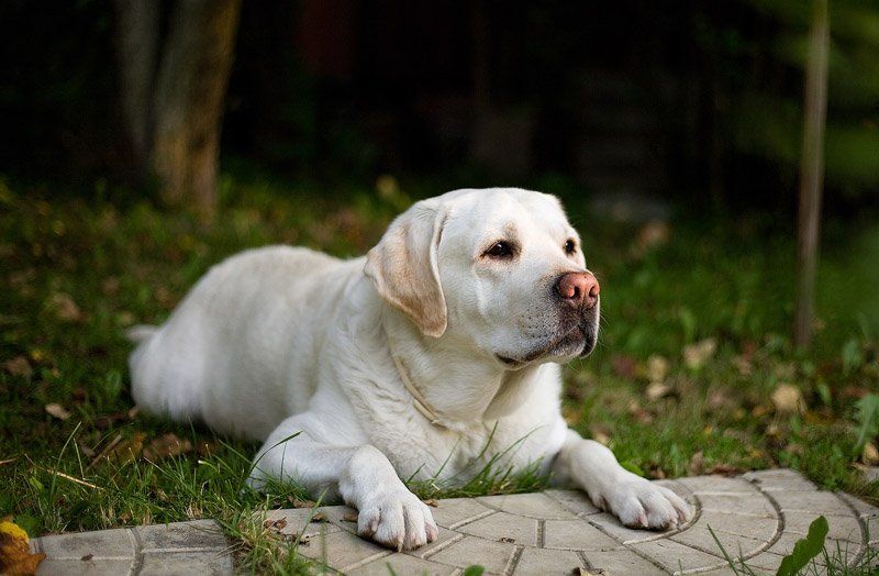 Другphoto preview