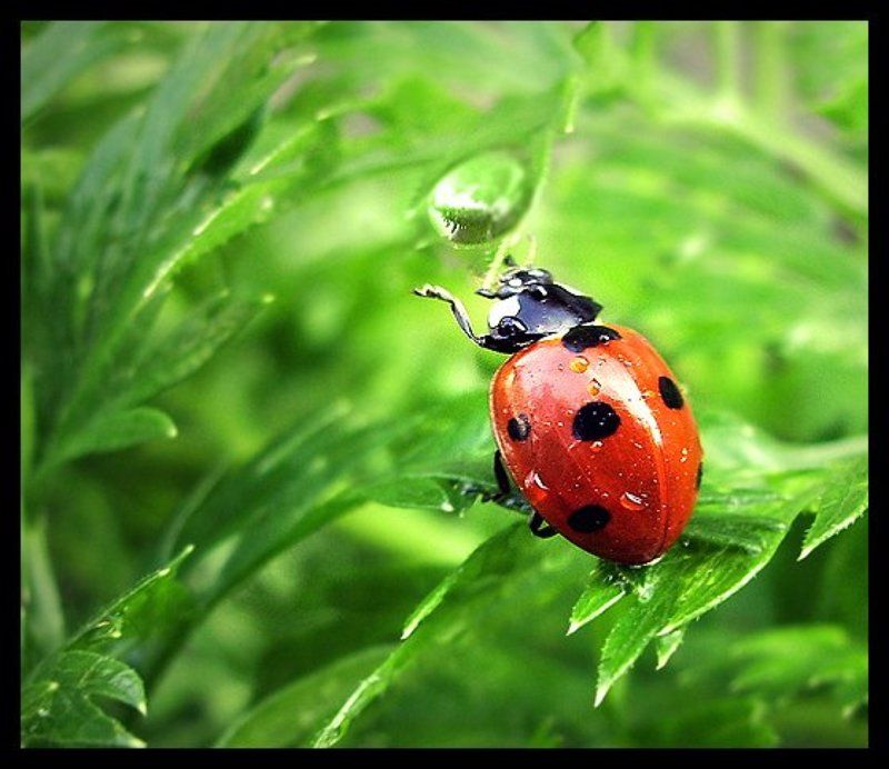 Утренний душphoto preview