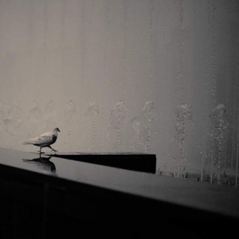 нафигключевыеслова .....photo preview