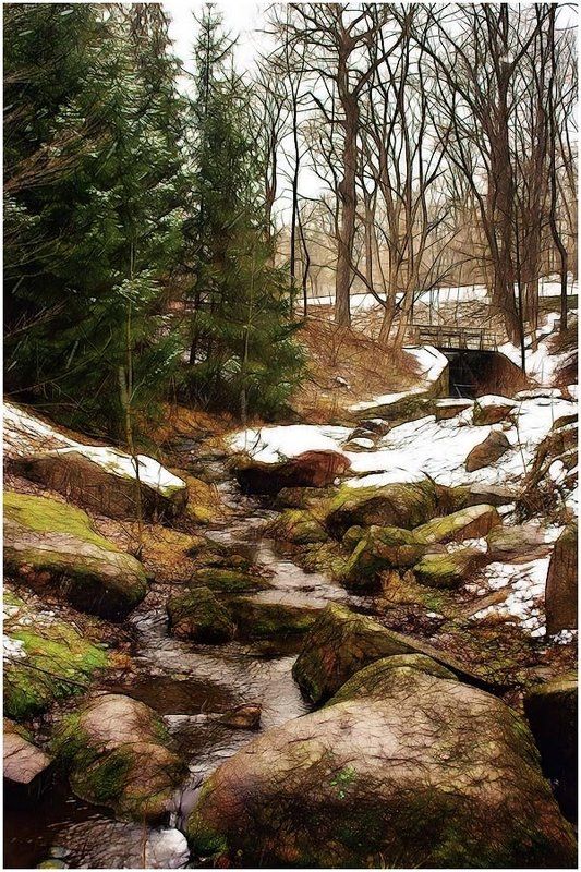 пейзаж, природа, река Ручейphoto preview