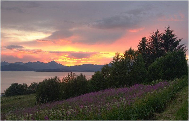 Закатноеphoto preview