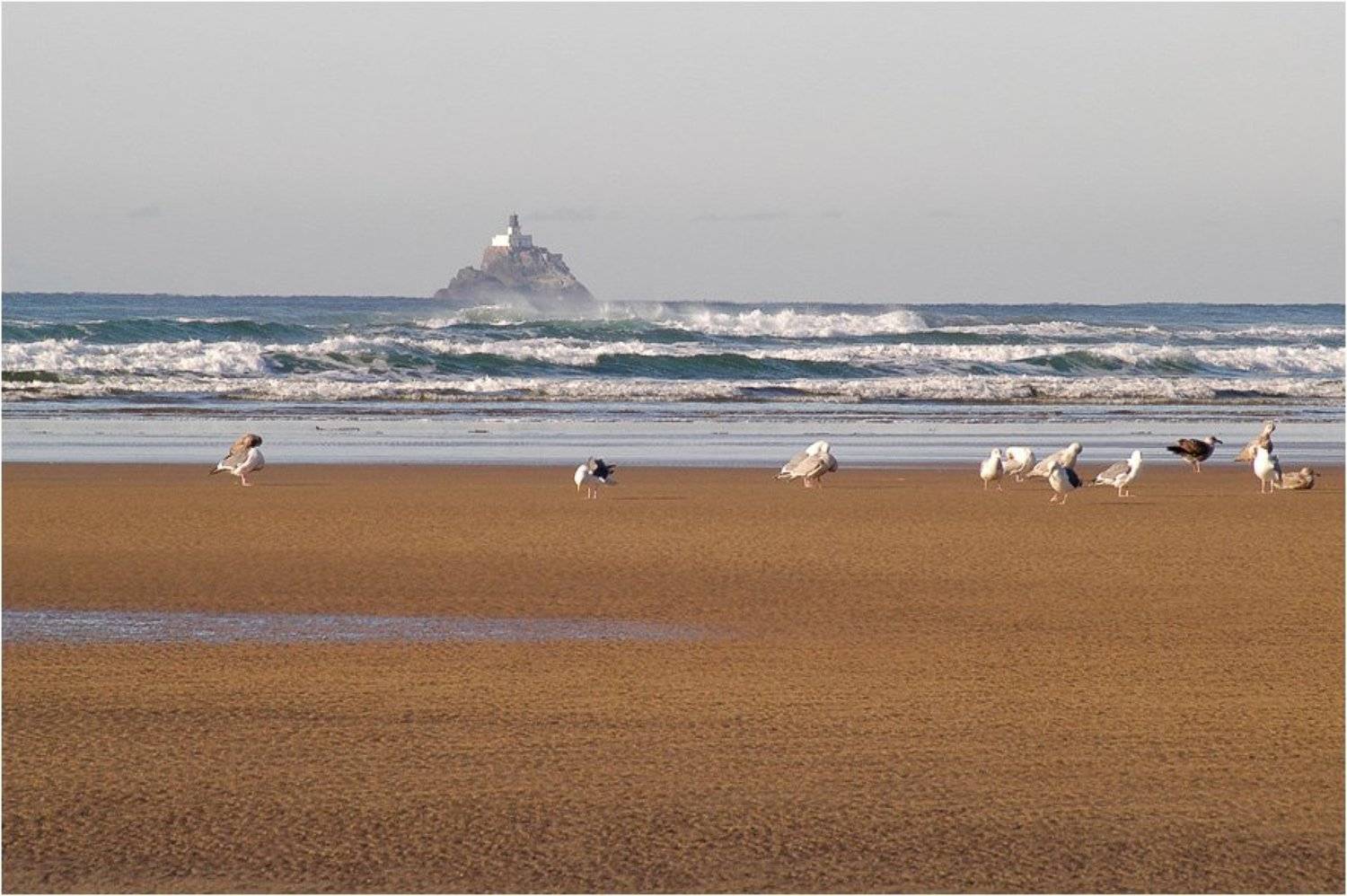 , Alexandre Michourovskii