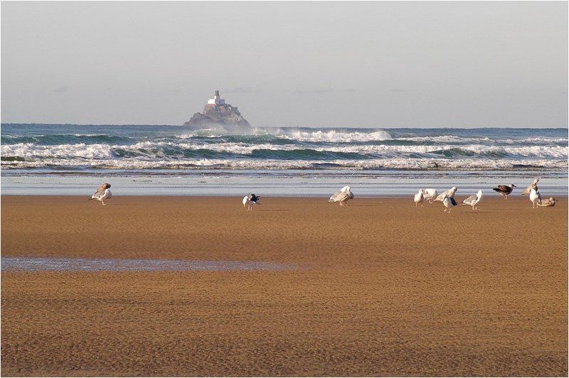 Марафет перед завтракомphoto preview