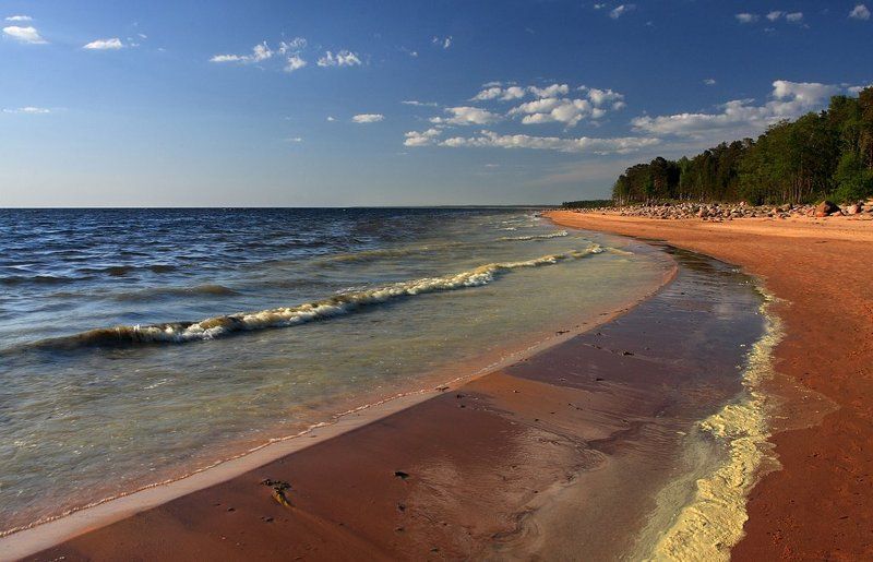 Первый день летаphoto preview