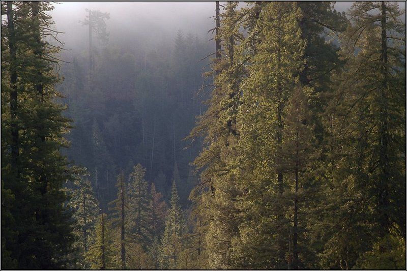 День начинаетсяphoto preview