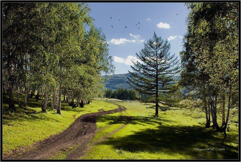 лето, Качурин Алексей