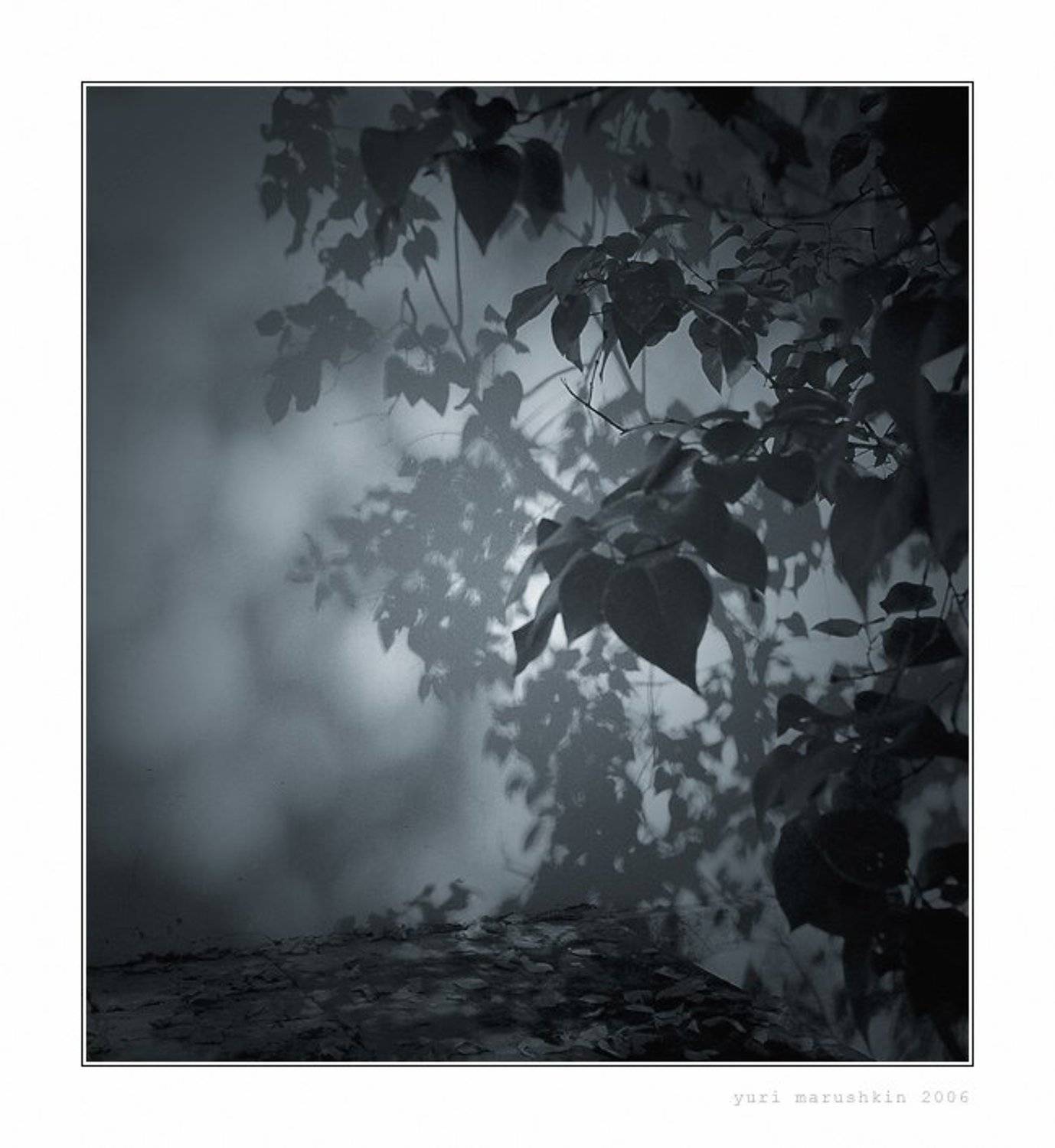 , Юрий Марушкин