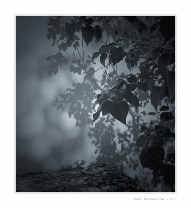 без названияphoto preview