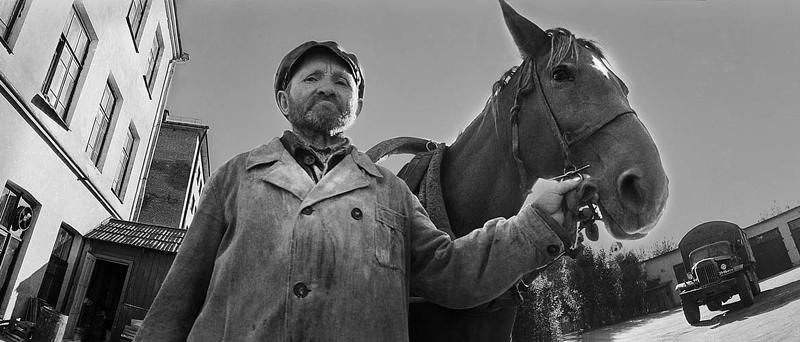 старик, кобыла ВОДИТЕЛЬ  КОБЫЛЫphoto preview