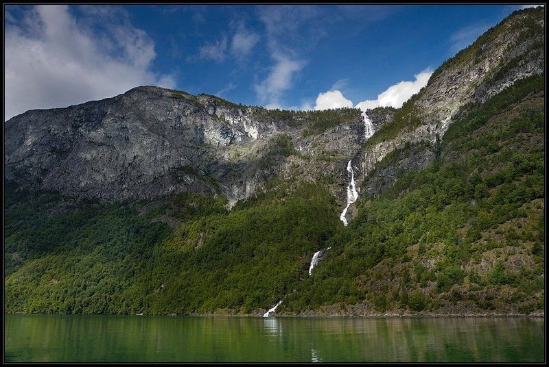 норвегия, фьорд, водопад, лес Зелепуха норвежскаяphoto preview