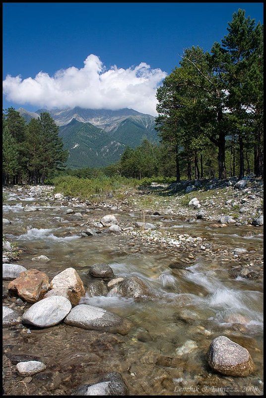 Кынгыркаphoto preview